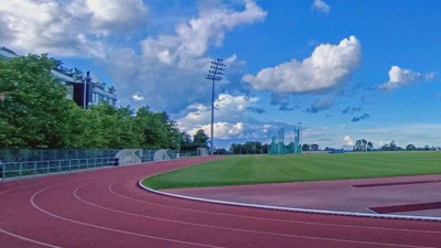 Visualizing Movement Variability: What Nonlinear Dynamics Reveal About Gait featured image