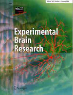 Interactions between arm and leg neuronal circuits following paired cervical and lumbosacral transspinal stimulation in healthy humans